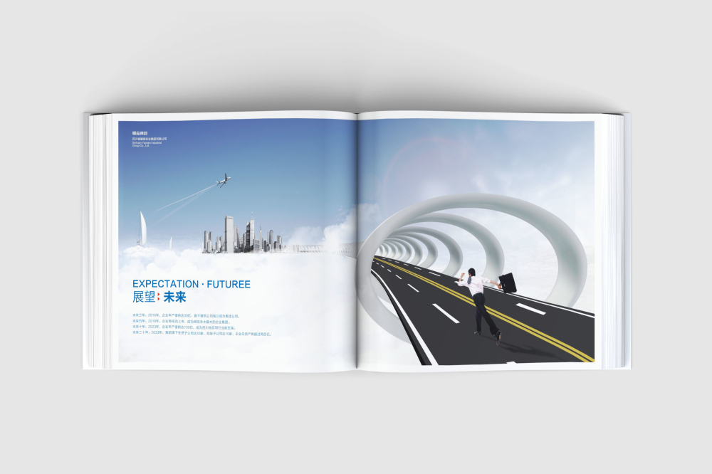 越秀区画册设计